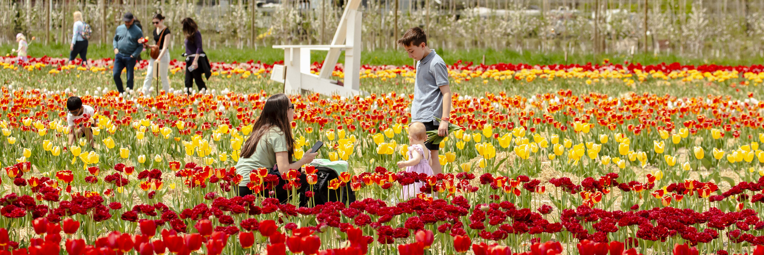 BF_2025-Blakes-In-Bloom-021-web