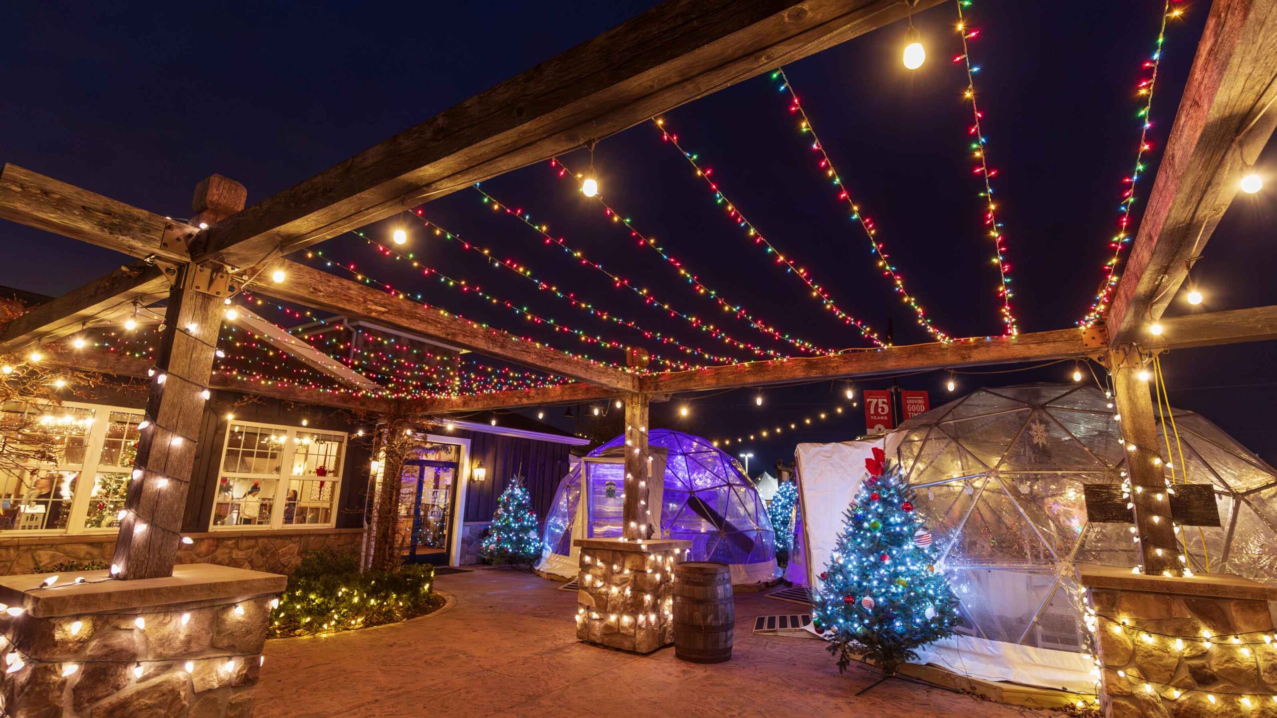 TR_2025-Igloo-Dining-Night-018 web2