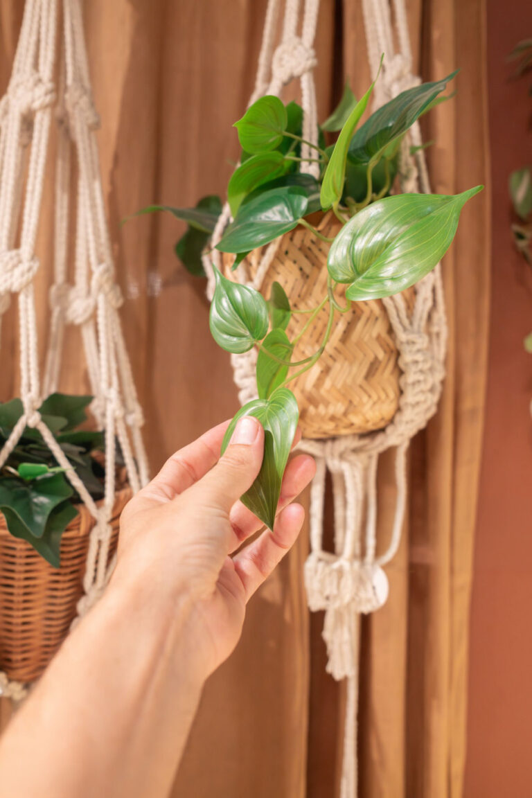 BBY_2026-Macrame-Plant-Holder-Workshop-2