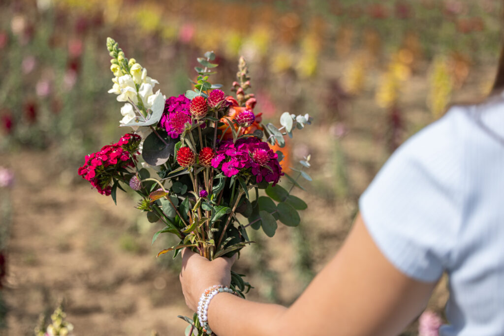 Blake Farms U-Pick Flowers (13)