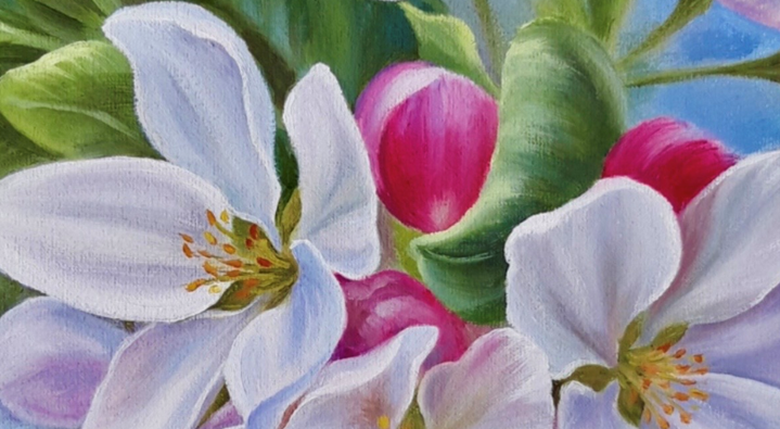 Apple Blossom (1)