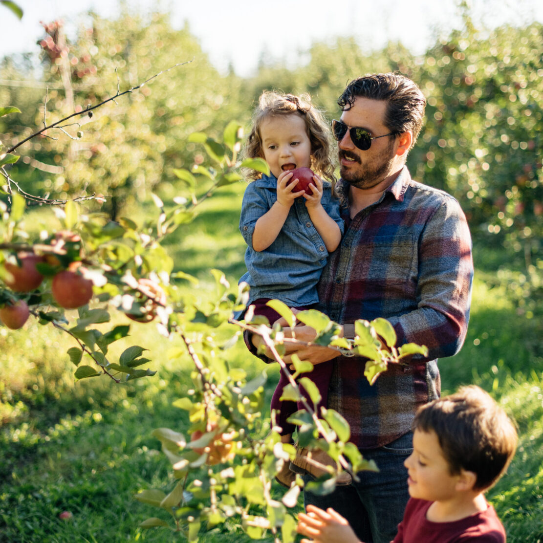 Man and two kids picking red apples together in the orchard at Blake's