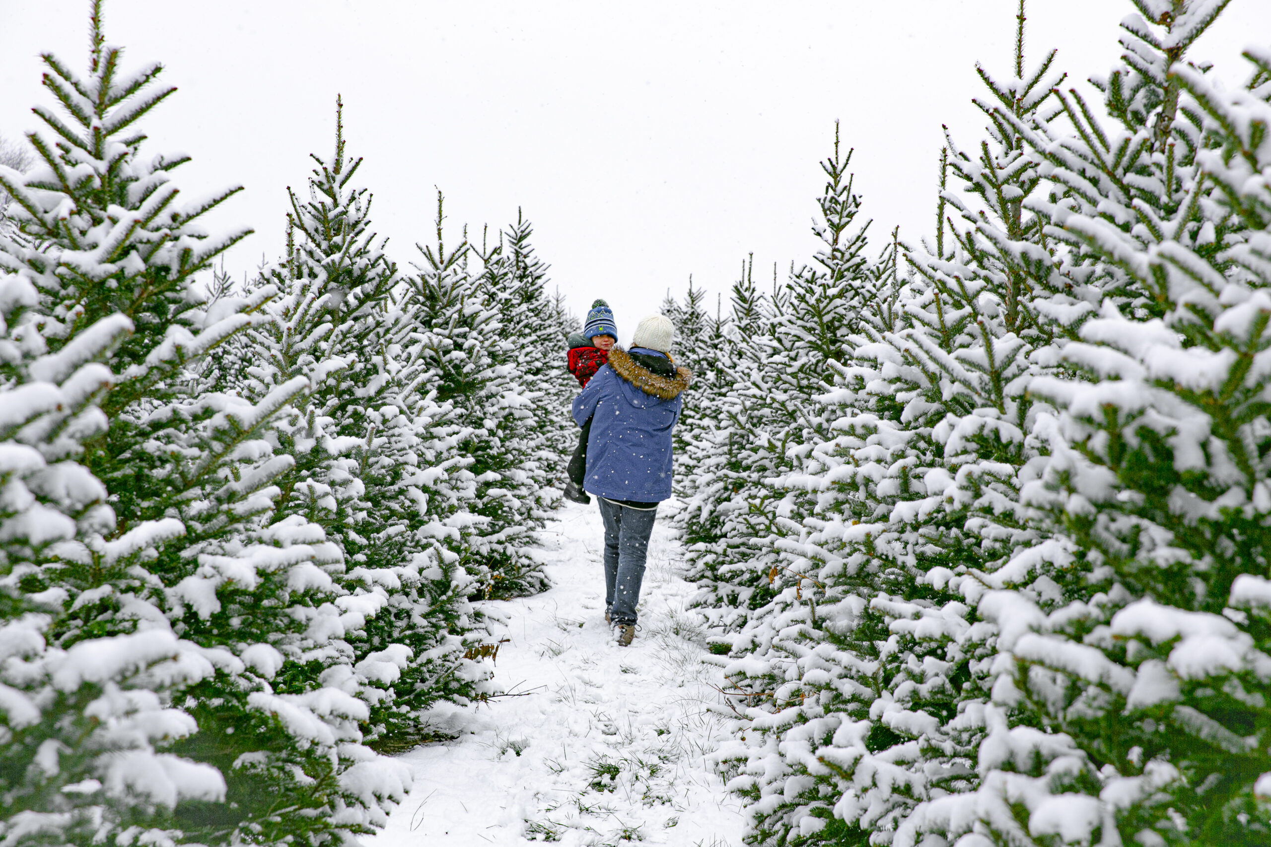 bf_2026-winter-school-trips
